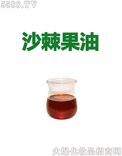 �V�ݰ��������Ƽ����޹�˾�������ɳ������