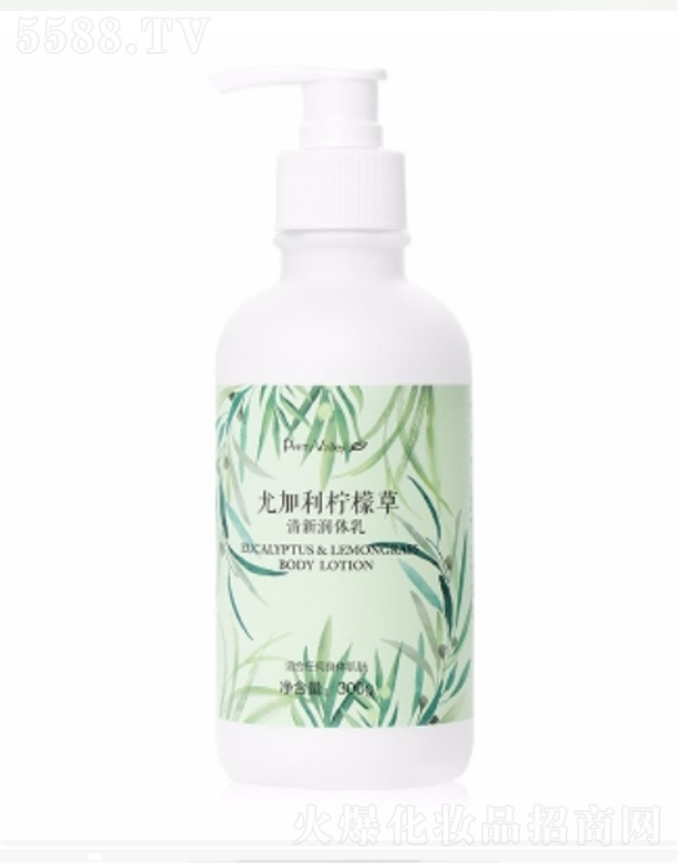 �V�݅R������Ȼ��Ʒ�B�i���޹�˾���ȼ������ʲ������w�� 300g