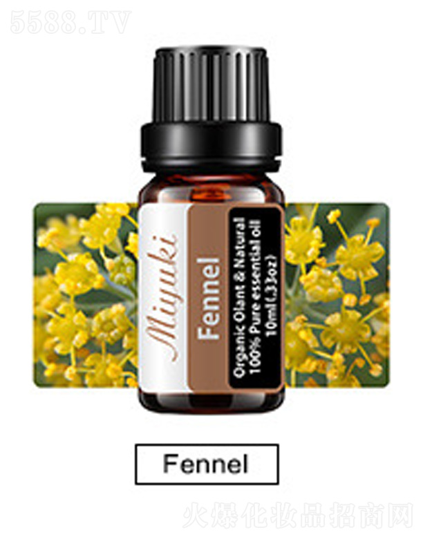 �V���׋I����Ƽ����޹�˾���o(h��)�w��޹��Ħ��-Fennel����