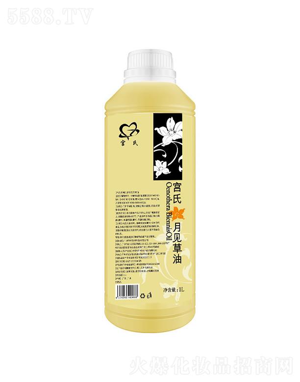 �V�݂�������Ƽ����޹�˾���m����Ҋ(ji��n)���� 1L