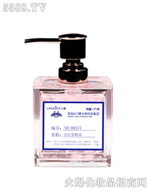 YB-00277���н���