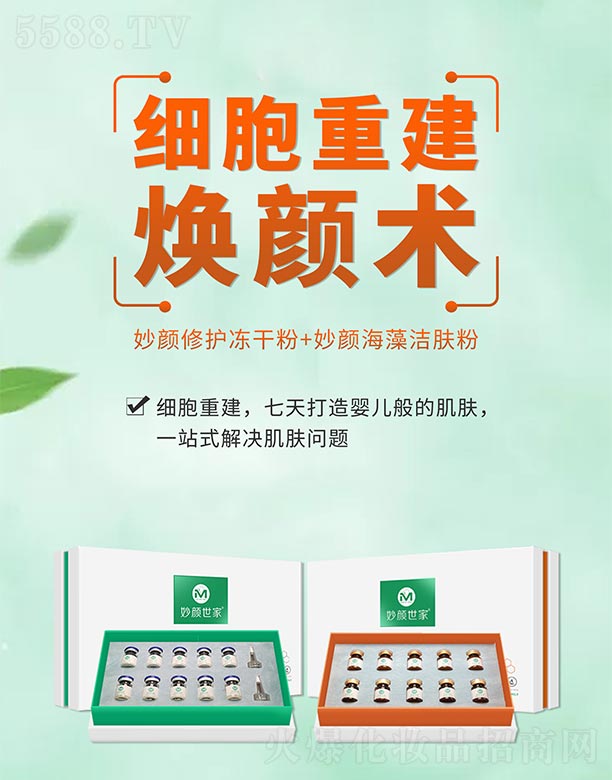 �������������o���ɷ�+����坍�w��