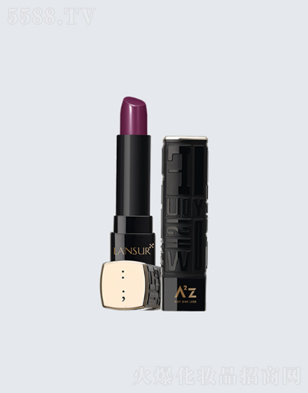 �mɪ���ڴ��ࣨ�z������10� 2.2g