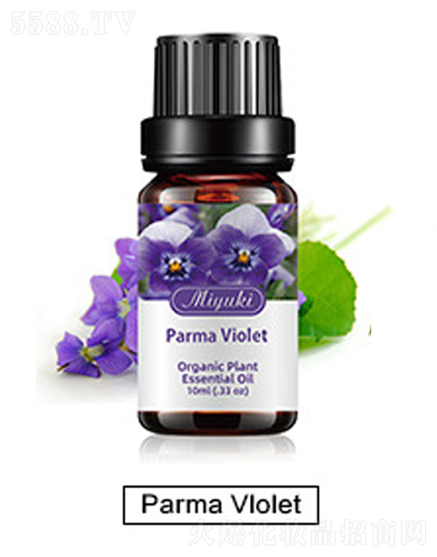 �o�w��޹��Ħ��-Parma Vlolet