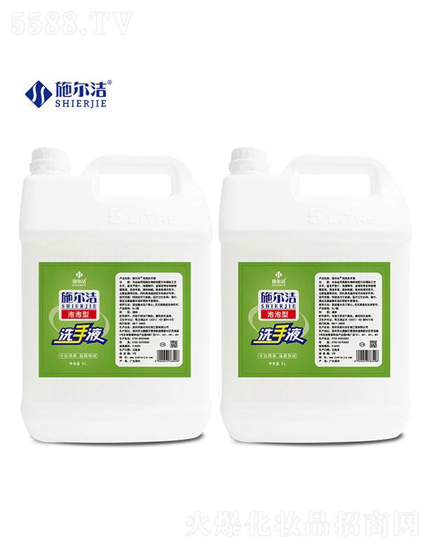 ʩ��������ϴ��Һ--5L
