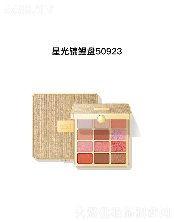 KAN�˚��\����Ӱ�P���ǹ��\���P50923��