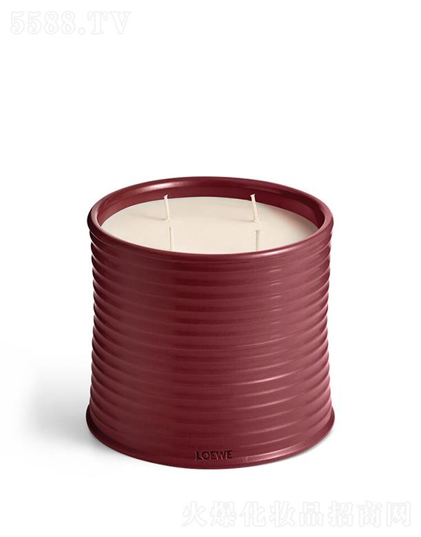 LOEWE��̖��˸��㾫Ϟ�T 100����