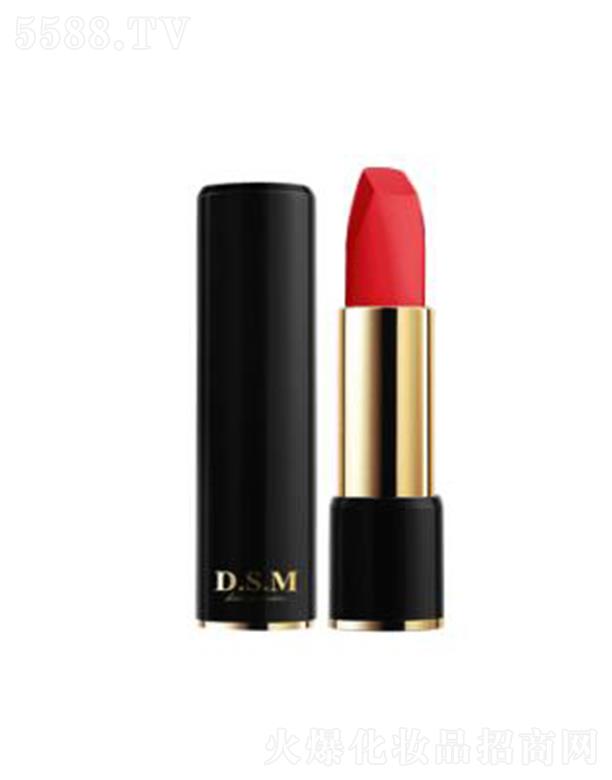 D.S.M��z���������ɴ���06 չ�F(xi��n)�S����ɫ��
