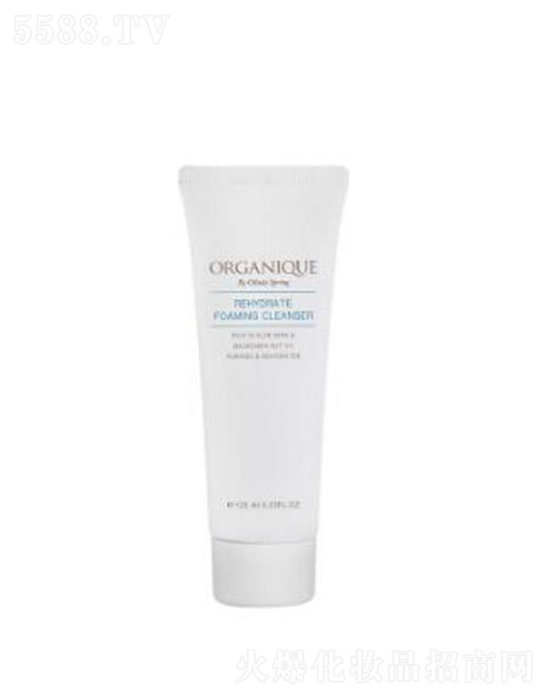 ORGANIQUE������ĭϴ���� ��ܛ�z������ĭ�ɸɃ�ȥ�����w�۹�