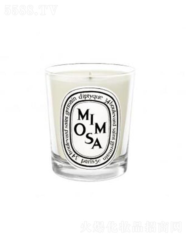 ���֣��Ϻ����Q(m��o)�����޹�˾��diptyque���Ϟ�T-���߲�