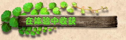�𱬸���